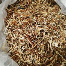 �Ƥ���l�Ƥ��ɢ�b�Ƥ����Ƥ�İ�Ϫ���ϸ�؛ɢ�b�Ƥ