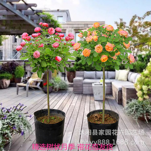 ����¼������Ϙ䘶�¼�õ����ļ��_�����Ի���ͥԺ�G�����^����