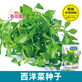 种子;蔬菜种子