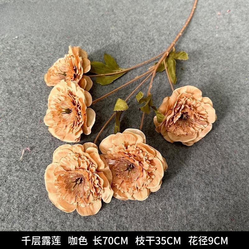 라자냐