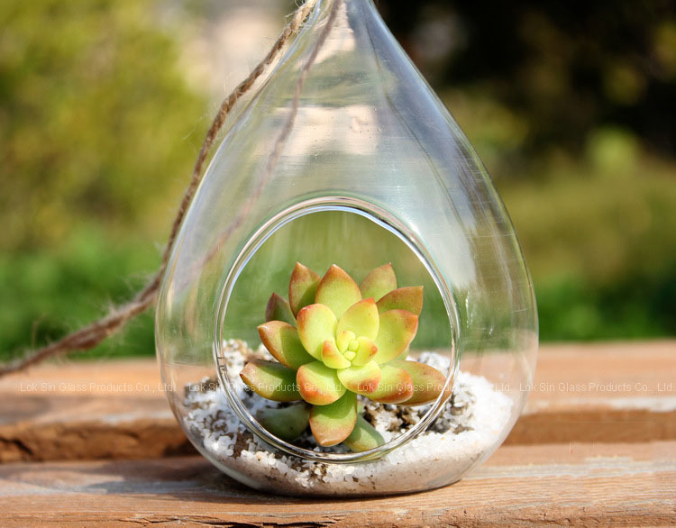 Florero de vidrio colgante planta suculenta florero creativo hidropónico flor Ware decoración del hogar artesanía