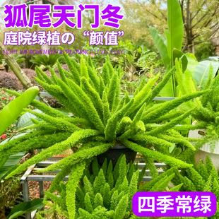��β���T�����Դ����҃��̨�ļ������β������ͥԺ�쾰���R�Gֲ