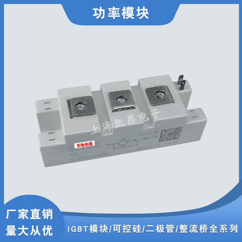 SKM195GAR124D SKM200GAR124D SKM300GAR124D 原装功率IGBT模块