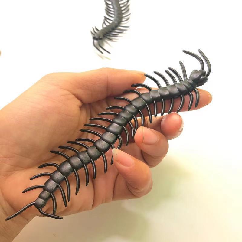 d0ea8b96c5ff4c4877c19096a9f413