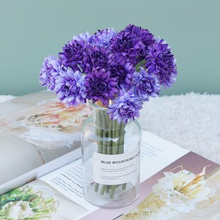 ���u���滨�r����ʽ����10�^С�r��������c���ҾӔ[�ŔzӰ���߻�