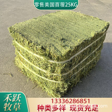 零售美国一级小捆紫花苜蓿草25kg 牛马羊动物园宠物用草源头厂家