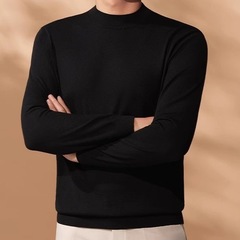 高端春秋季新款男士毛T支精纺半高领毛衣男可机洗针织打底衫男装