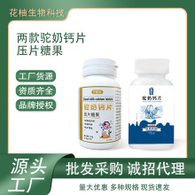 驼奶钙片批发   儿童青少年中老年补钙瓶装多款式可选工厂代发