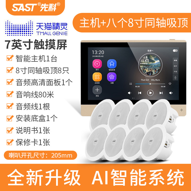 [내장 Tmall Elf] 호스트 + 8 8inch Audiophile 동축 천장 오디오