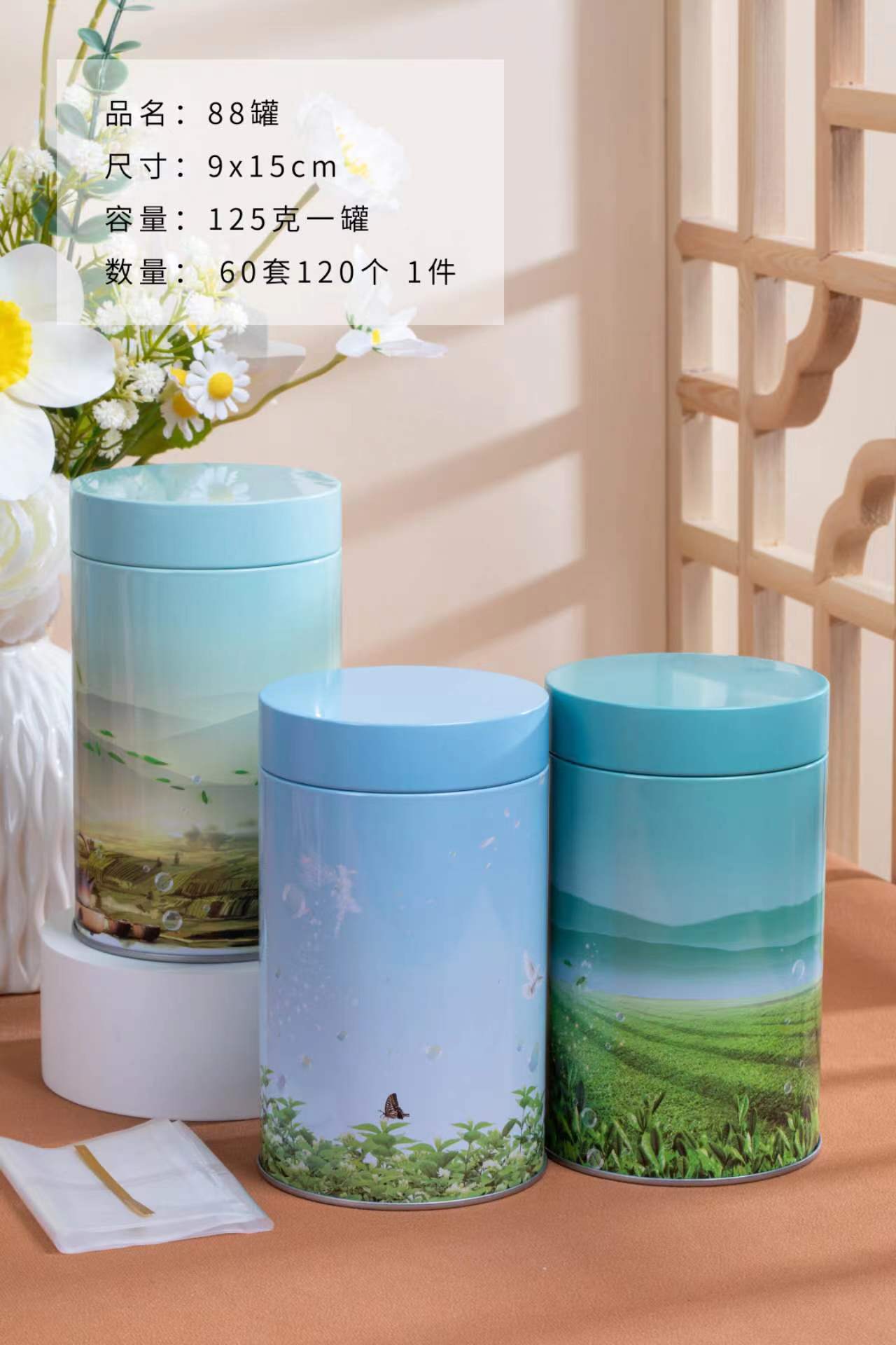 北欧风格铁罐通用绿茶龙井金属密封罐包装礼盒罐子茶叶罐直销小罐