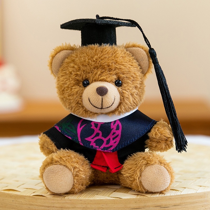 Dr. Bear Colgante muñeca puede imprimir LOGO sombrero doctor regalos de graduación uniformes de muñeca oso bolsos llaveros