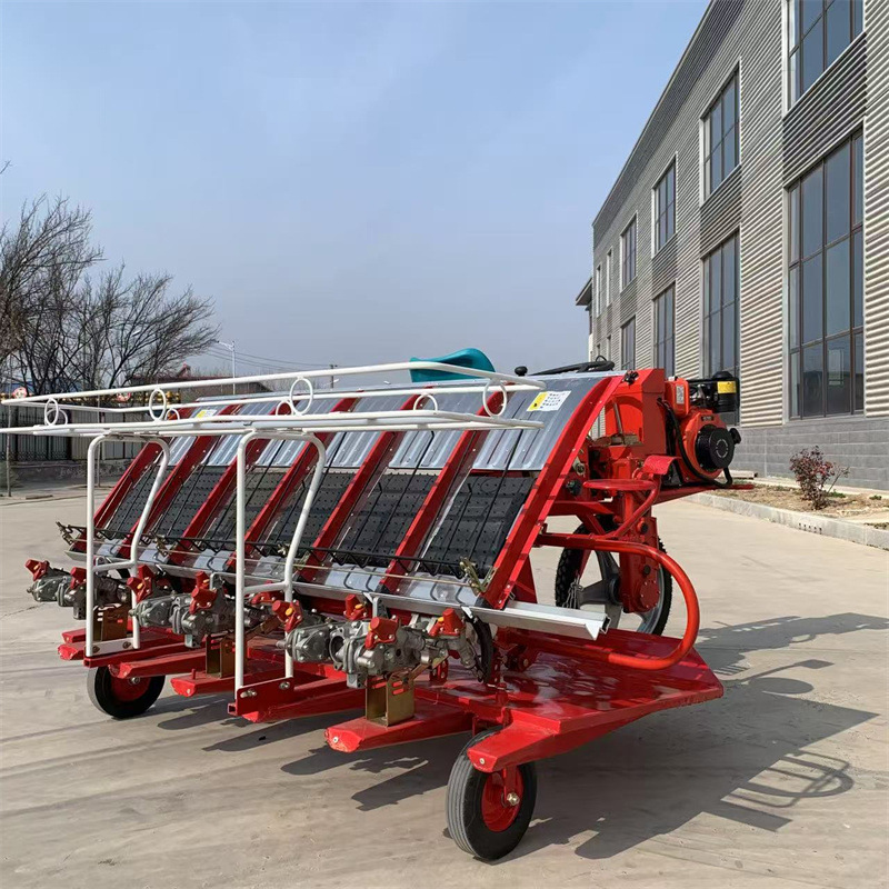 乘坐自走式插秧机汽油款水稻种植机秧苗移栽机六行八行水稻栽苗机