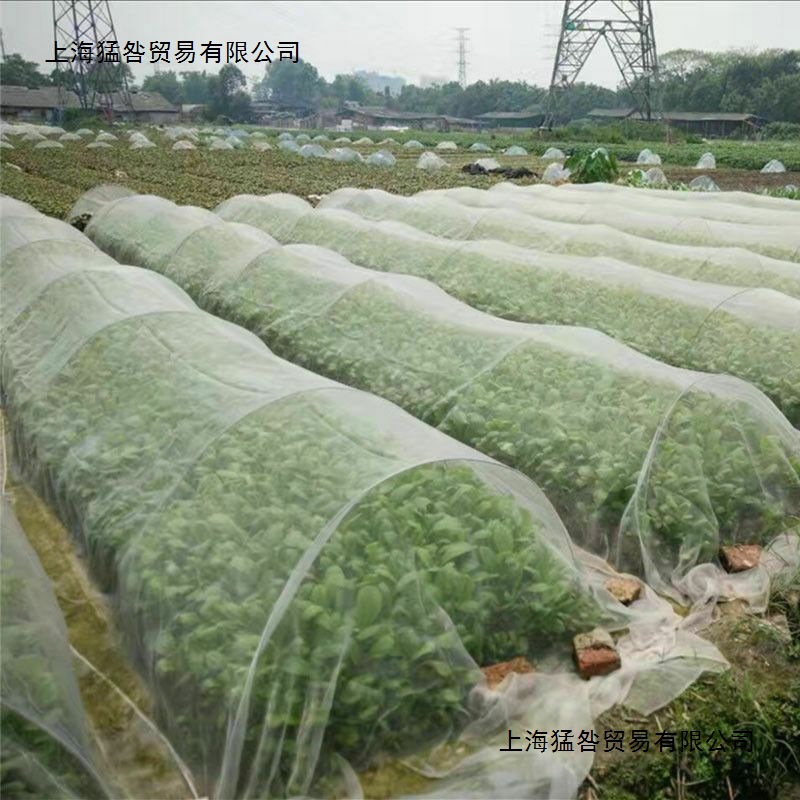 家庭园艺绿色有机种植物理防虫防蚊防鸟透气透光尼龙纱网40目包邮