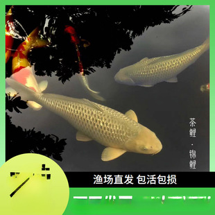 �G����ˮ��ˮ�~�����t�������\���^�p�~���~�~����~��ˮ�~