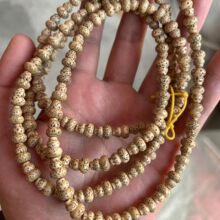 ��Ʒ���溣����������ԭ���B�u���S���J108�w�L������������