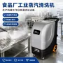 高温工业蒸汽生产清洗机