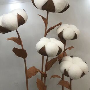 �����ֹ����wʽ�޻���Y�b��̈�������ꐵ��߻�c�zӰ��ˇ���滨