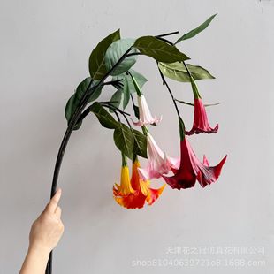 ��Ʒ���滨pu �����_ �쾰�zӰܛ�b���ô�����Y�b��쾰�zӰ����