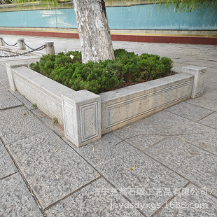 ˇ��ʯ�� ���@���^������� �����Ү��Ηl�� ����ľ���� ��P��