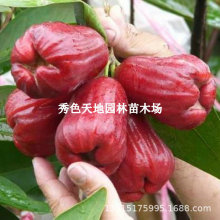 ̨���ڽ���ɏ�F��޽ӷN�������ɏ�F�������Ե���ͥԺ�Nֲ������