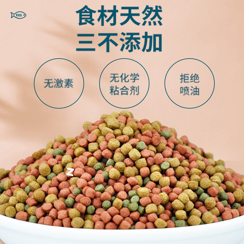 d2748f68-7576-48bd-b985-76859c13e7d5.jpe