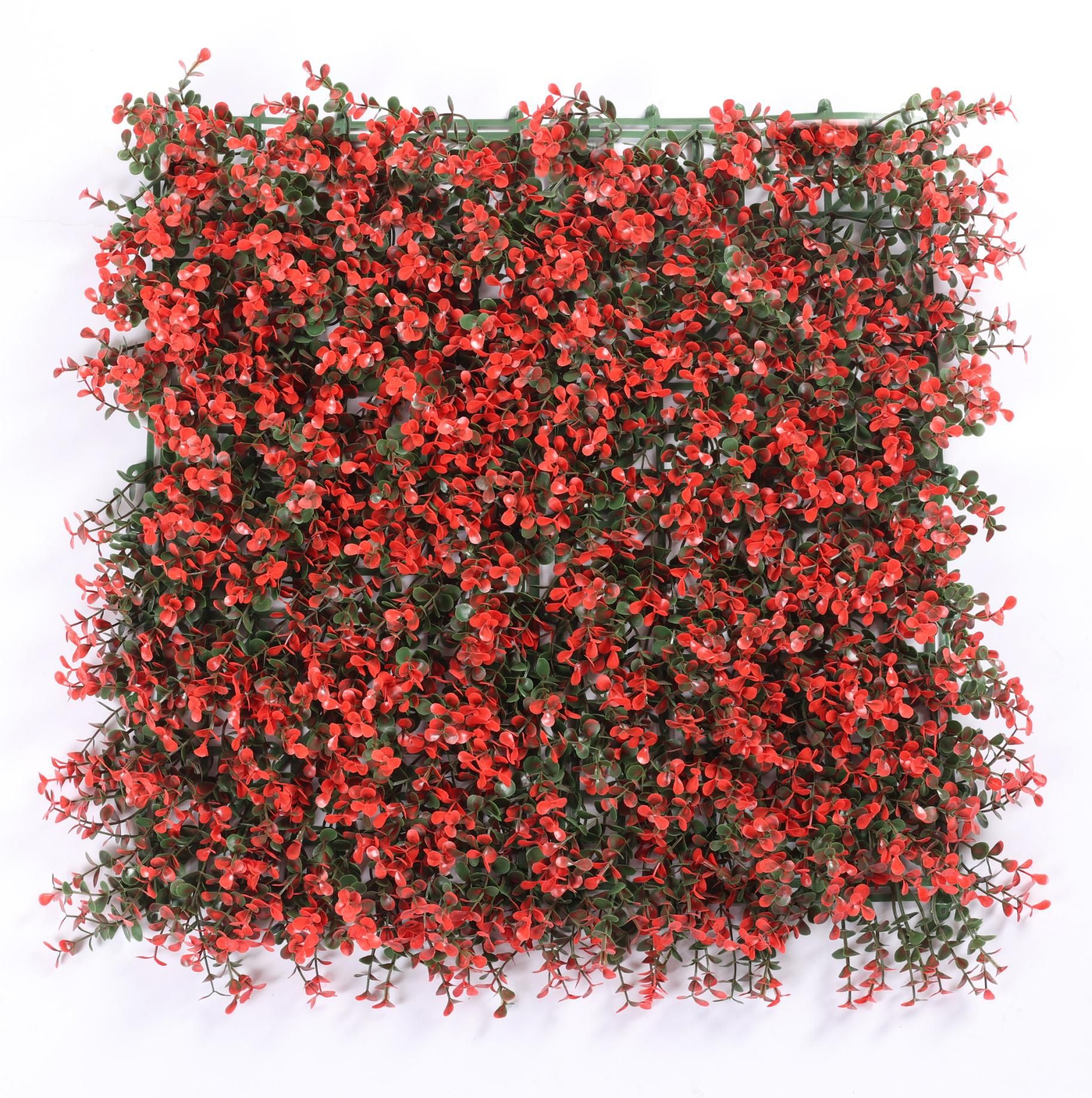Orange five-layer money grass