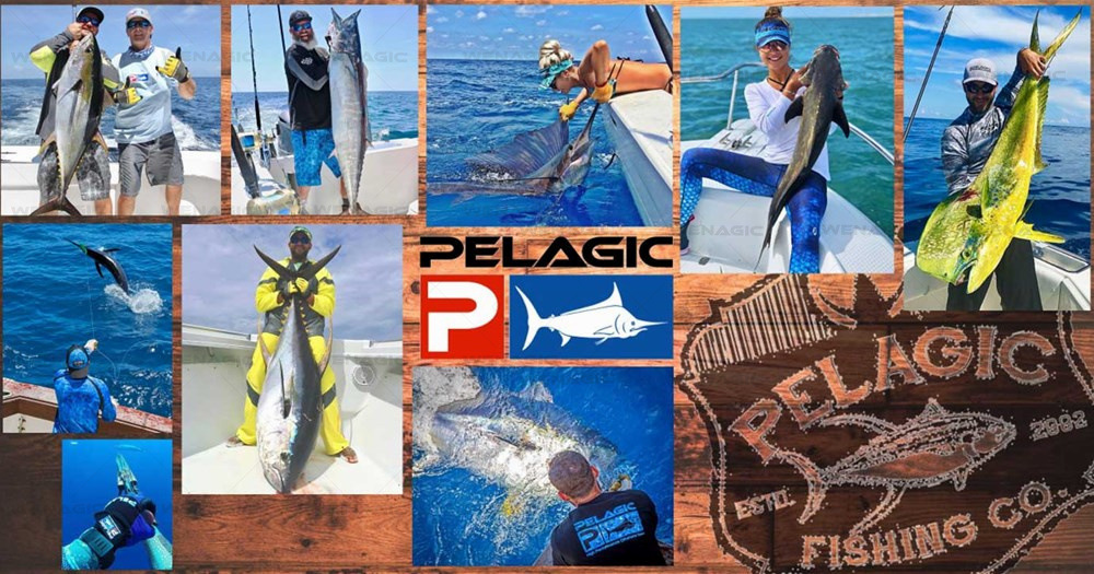 钓鱼服详情 水印