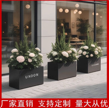 �����������P䓻�����ڸ��໨�۽M��ͥԺ�����؉��Fˇ����