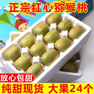 �����Ĵ��ѽ��t�īJ�����殐�����rˮ�����]��������Үa��ֱ�l