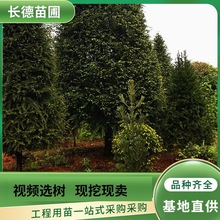 �����Lɳ����ֱ���t��ɼ���o�@��ͥԺ�^�pС��G����������ă�