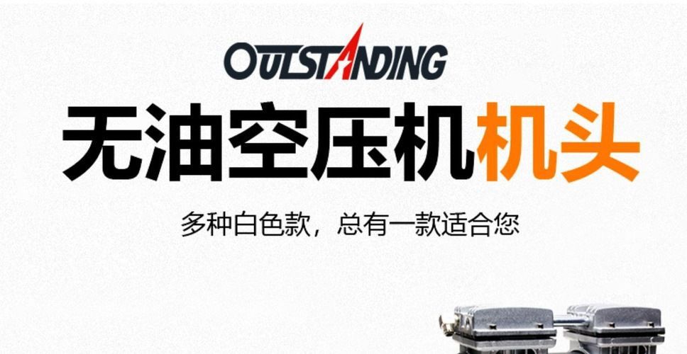Oil-Free Silent Original Air Compressor Head Motor Vacuum Pump 220V Air Pump Head Air Compressor