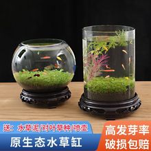 创意桌面生态水草缸小鱼盆栽水草种子鱼瓶微景缸居家绿植透明玻璃