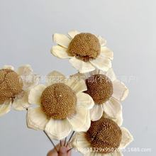 ͩ���ɹ���Ȼֲ�ﻨˇܛ�b���滨�͏d�ҾӔ[�O�[�����յ���