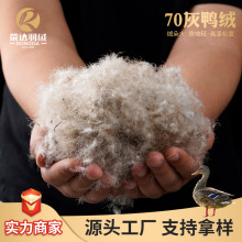 70灰鸭绒绒子含量70%清洁度800蓬松度13.5cm羽绒填充物厂家批发