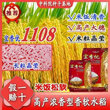 ���·N�ӡ����マ1108����ˮ���N�ӝ������L�������ӷN���Ϸ��㵾