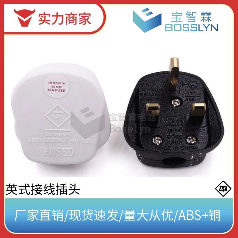 Manufacturers supply British specification power plug assembly British standard British plug 13A250V