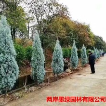 �{���������l���~ֲ�� ���^�쾰�}�Q�� �^�p��N�{���ؘ����{ɫ��