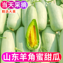 山东羊角蜜甜瓜水果新鲜当季整箱5斤包邮小密瓜香瓜蜜瓜羊角脆