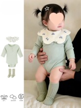 С���g������Ͱ�����냺�·����b�B�w��2026�¿�M�°���������