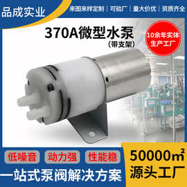370微型直流水泵 耐酸碱腐蚀隔膜泵喷雾泵 自吸泵迷你电动水泵