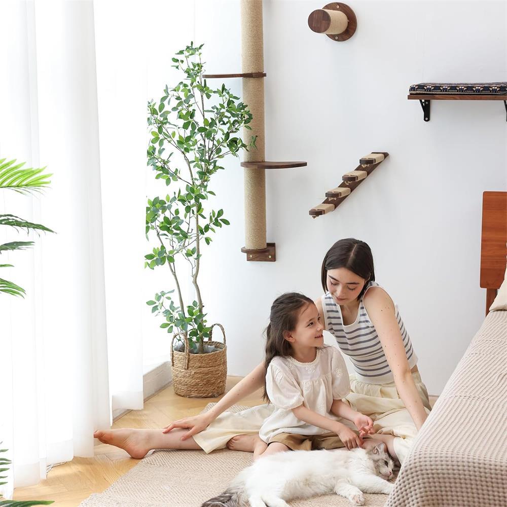 71re8Qi944L._AC_SL1500_