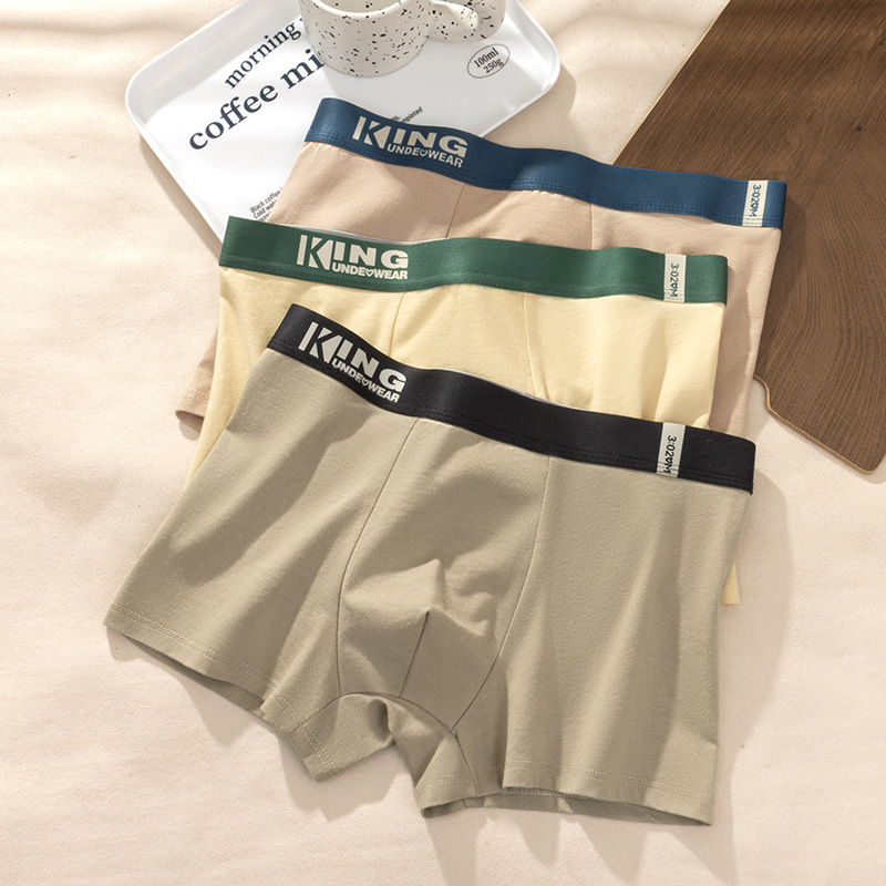 Trendy Fashion Color-Block Waistband Men's Pure Cotton Underwear Antibacterial Crotch Skin-Friendly Breathable Simple Boxer Briefs