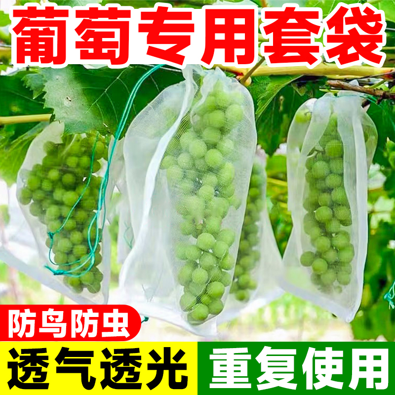葡萄套袋防鸟网防虫网套果袋尼龙网袋水果网纱袋蔬菜瓜果果蔬植物