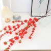 Big Peach Blossom [Red]