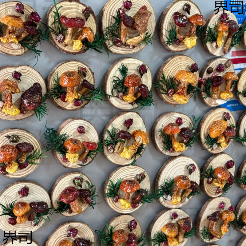 云南真蘑菇冰箱贴菌子真植物果实木头标本装饰手工创意工艺品|undefined