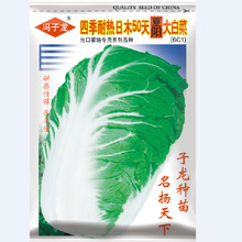 �T�����߲˷N���ļ�������ľ50����ꖴ�ײ˻�����@�̨�����͝�