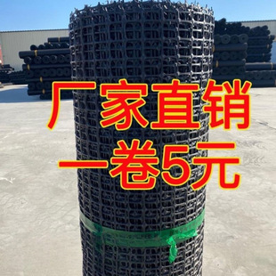 Fencing Mesh Isolation Net Plastic Duck Corn Orchard Vegetable Garden Chicken Raising Leakage Thickened Protective Net Fence Net