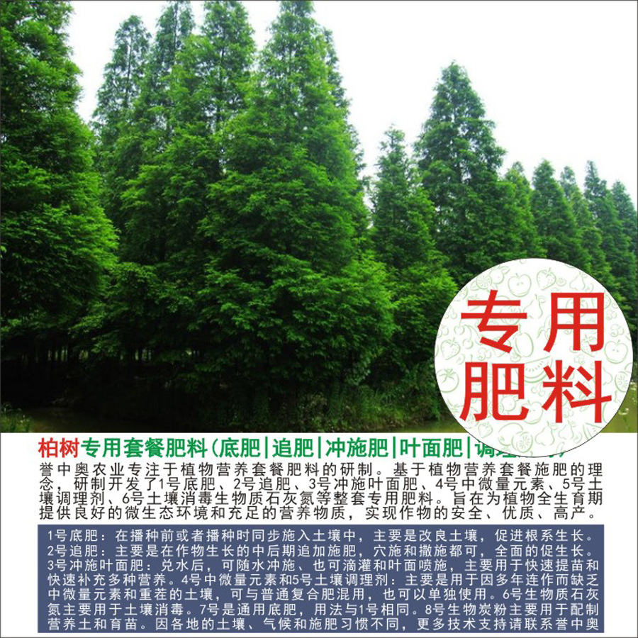 1-50а°̰רлʸϷʵ׷׷Ҷʳʩˮܷ