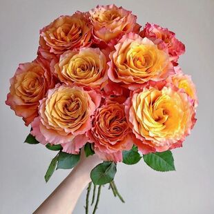 ���õ�����ֱ�l�r��õ�廨���տ����lˮ�B��ˮ�ٺϻ������ò廨