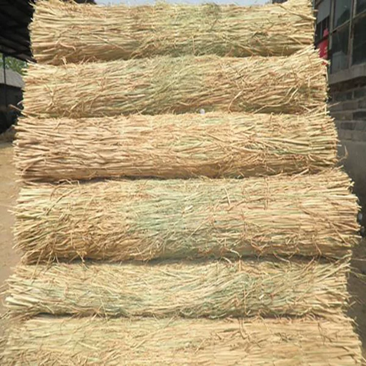 Зеленая соломенная трава занавеска на строительной площадке